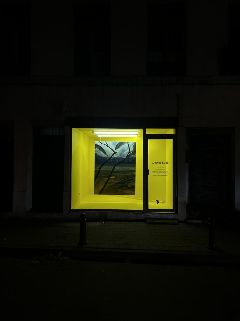 Arnaud Kool at TREIZE, TREIZE 1 at night, contemporary art gallery in Brussels